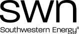 (SWN LOGO)